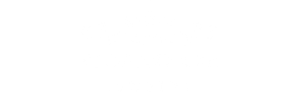 cropped vioraspark 7.png
